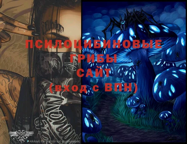 шишки Лихославль