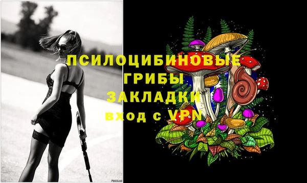 шишки Лихославль